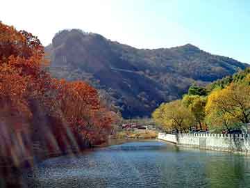 新澳天天开奖资料大全旅游团，白果树种子